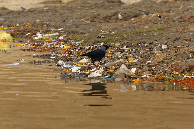 Varasani-Promenade sur le Gange-117